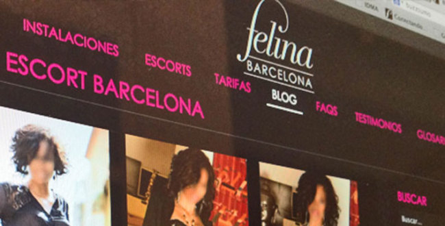 portada-post-felina