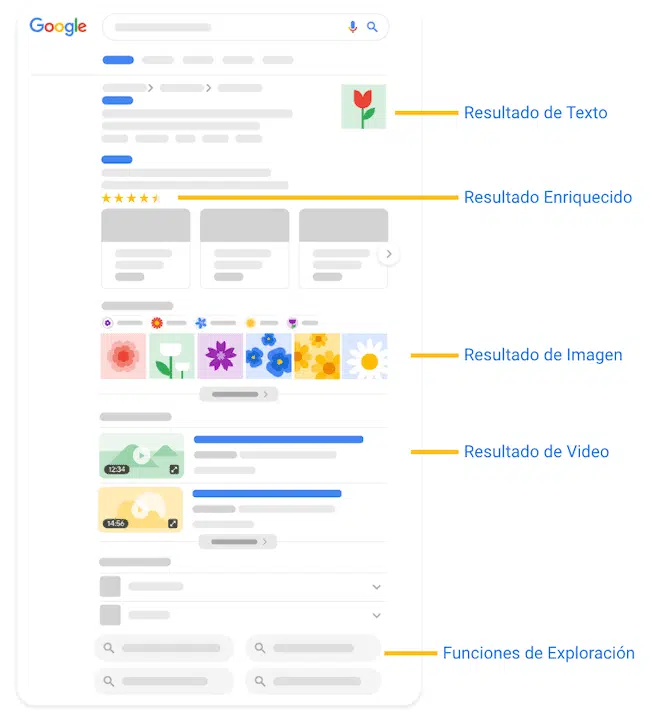 imagen-1